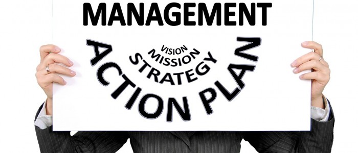 Project management from vision to mission, strategy and action plan